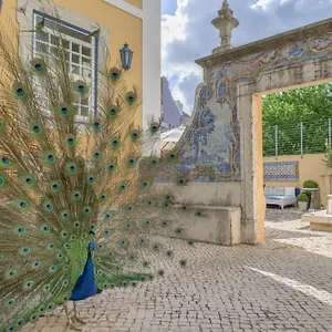 Отель Solar Do Castelo - Heritage Collection - Alfama, Лиссабон